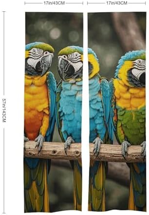 Three Parrots Door Cover Curtain 57x17 Inches