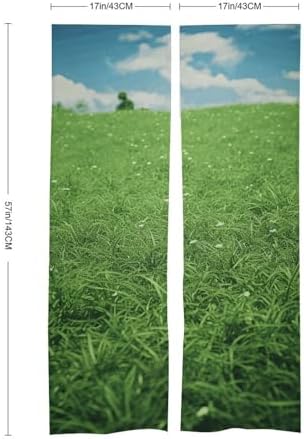 Green Lawn Door Cover Curtain 57x17 Inches
