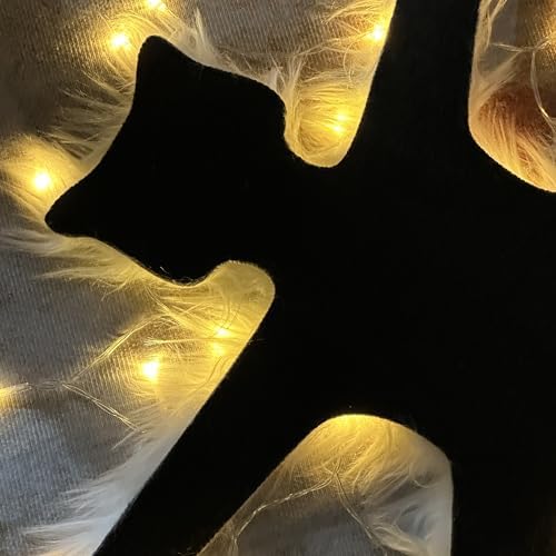 Light Up Fried Cat Rug Christmas Decor with USB Lights