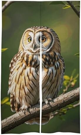 Owl Tree Branches Door Cover Curtain 57x17 Inches