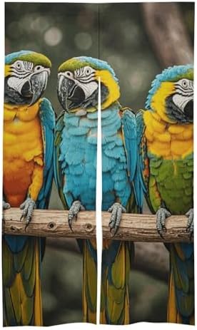 Three Parrots Door Cover Curtain 57x17 Inches
