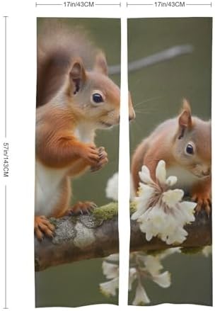 Squirrels Door Curtain Split 17x57 Inch Privacy Divider