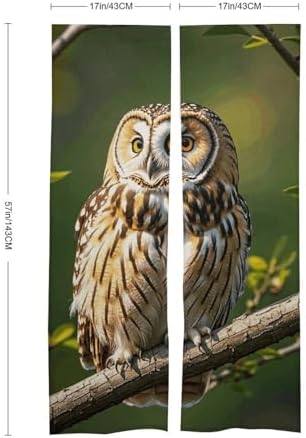 Owl Tree Branches Door Cover Curtain 57x17 Inches