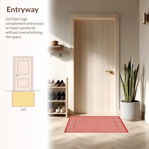 Ultra Soft 4x6 Area Rug Non Slip Stain Resistant