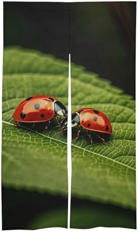 Leaves and Ladybug Door Cover Curtain 57x17 Inches