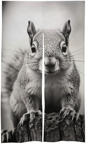Light Gray Squirrel Door Cover Curtain 57x17 Inches