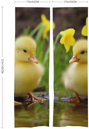 Cute Baby Ducks Door Curtain Panel 17x57 Inch