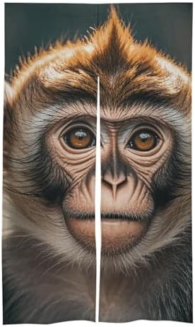Cute Monkey Door Cover Curtain 57x17 Inches