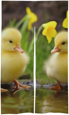 Cute Baby Ducks Door Curtain Panel 17x57 Inch