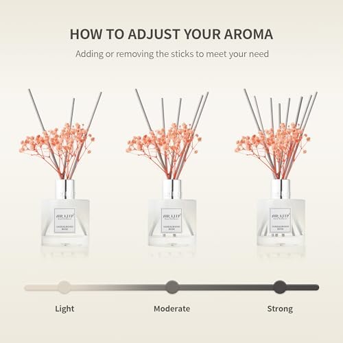 Airkeep Reed Diffuser Set - Cinnamon Vanilla 338 Fl Oz