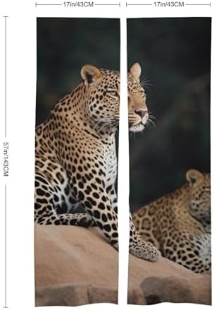 African Leopard on Rock Door Cover Curtain 57x17 Inch