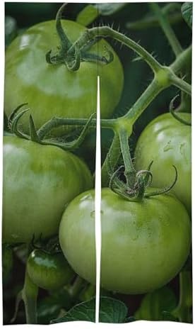 Green Tomatoes Door Cover Curtain 57x17 Inches