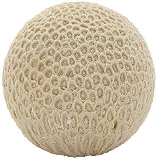 Deco 79 Ps Coral Ball Decor 5 Inch