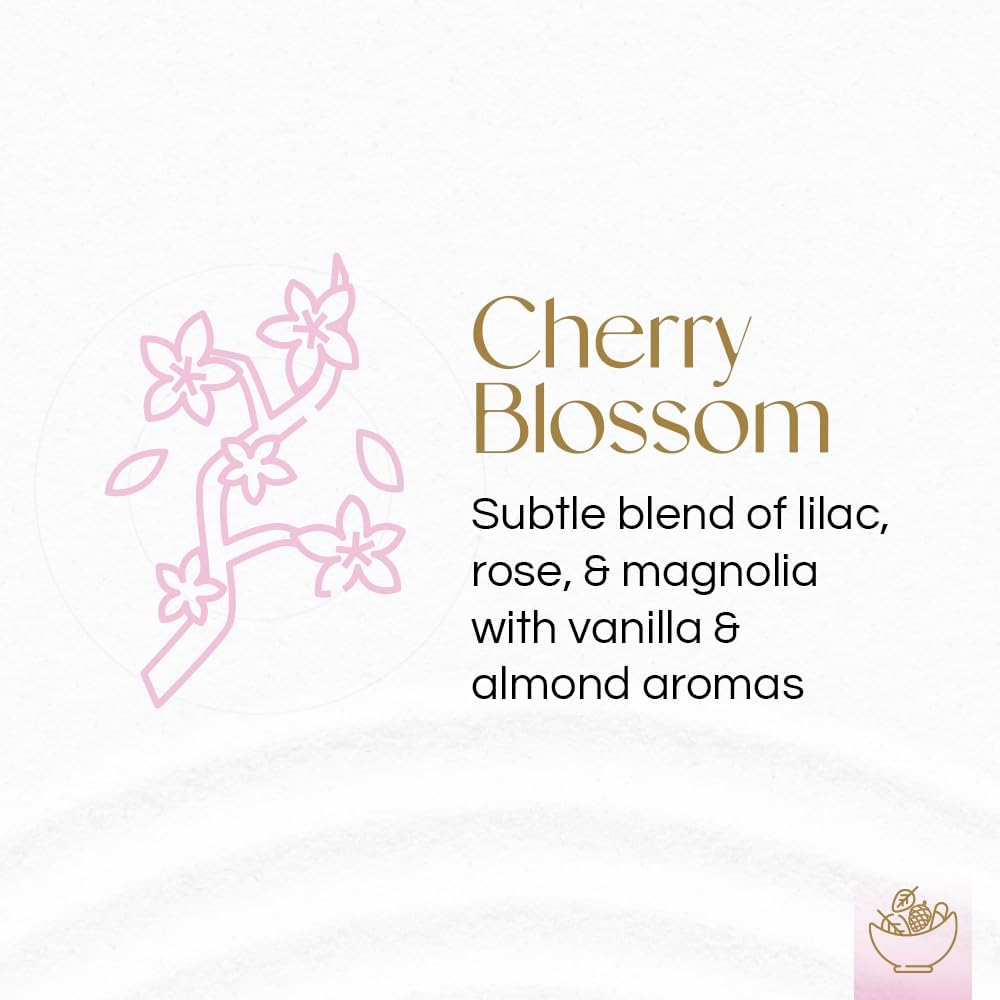 Gonesh Potpourri Cherry Blossom 12 oz Gift Box