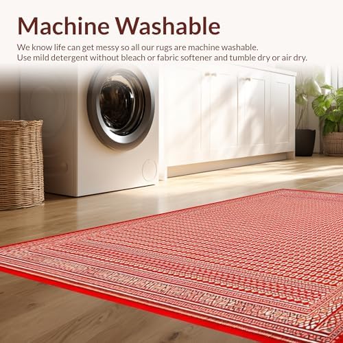 Ultra Soft 4x6 Area Rug Non Slip Stain Resistant