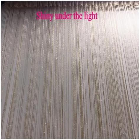 String Curtains 3x26m Shiny Tassel Decor Drape