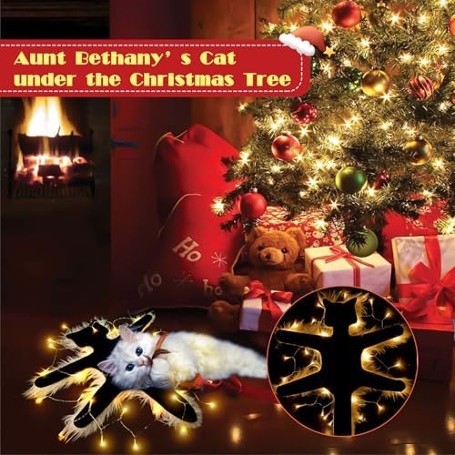 Light Up Fried Cat Rug Christmas Decor with USB Lights