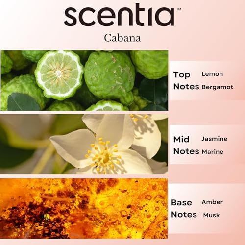 Scentia Cabana Oil - 20 mL Hotel Inspired Fragrance