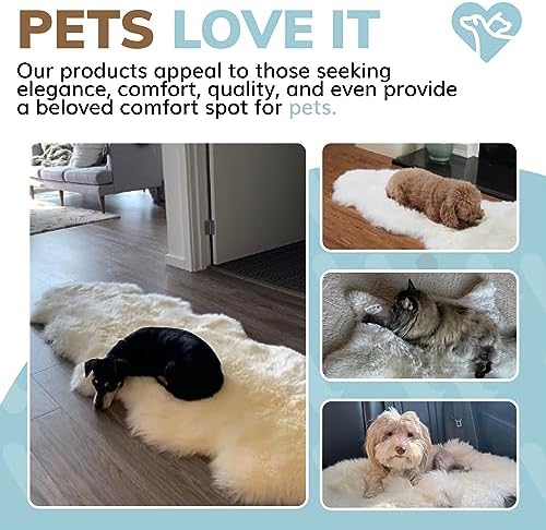 WaySoft New Zealand Sheepskin Area Rug - Ivory 2ft x 3ft