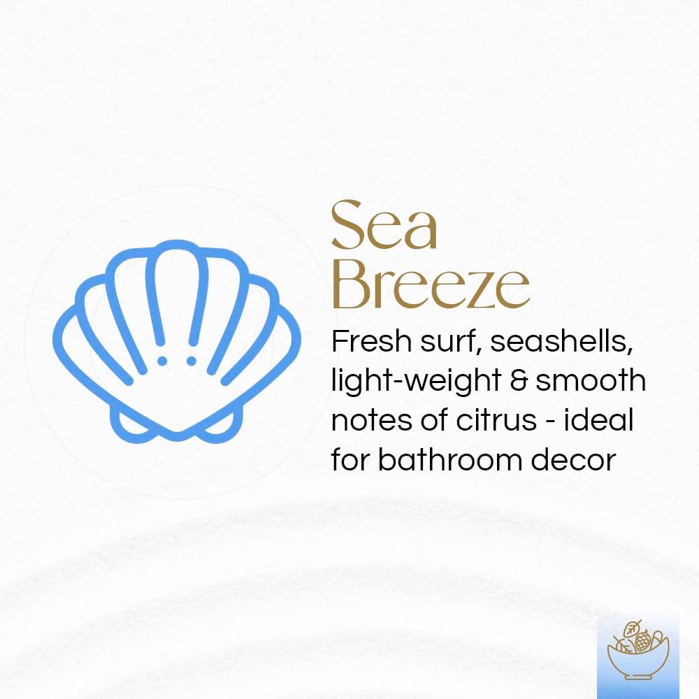 Gonesh Sea Breeze Potpourri 12 oz Gift Box