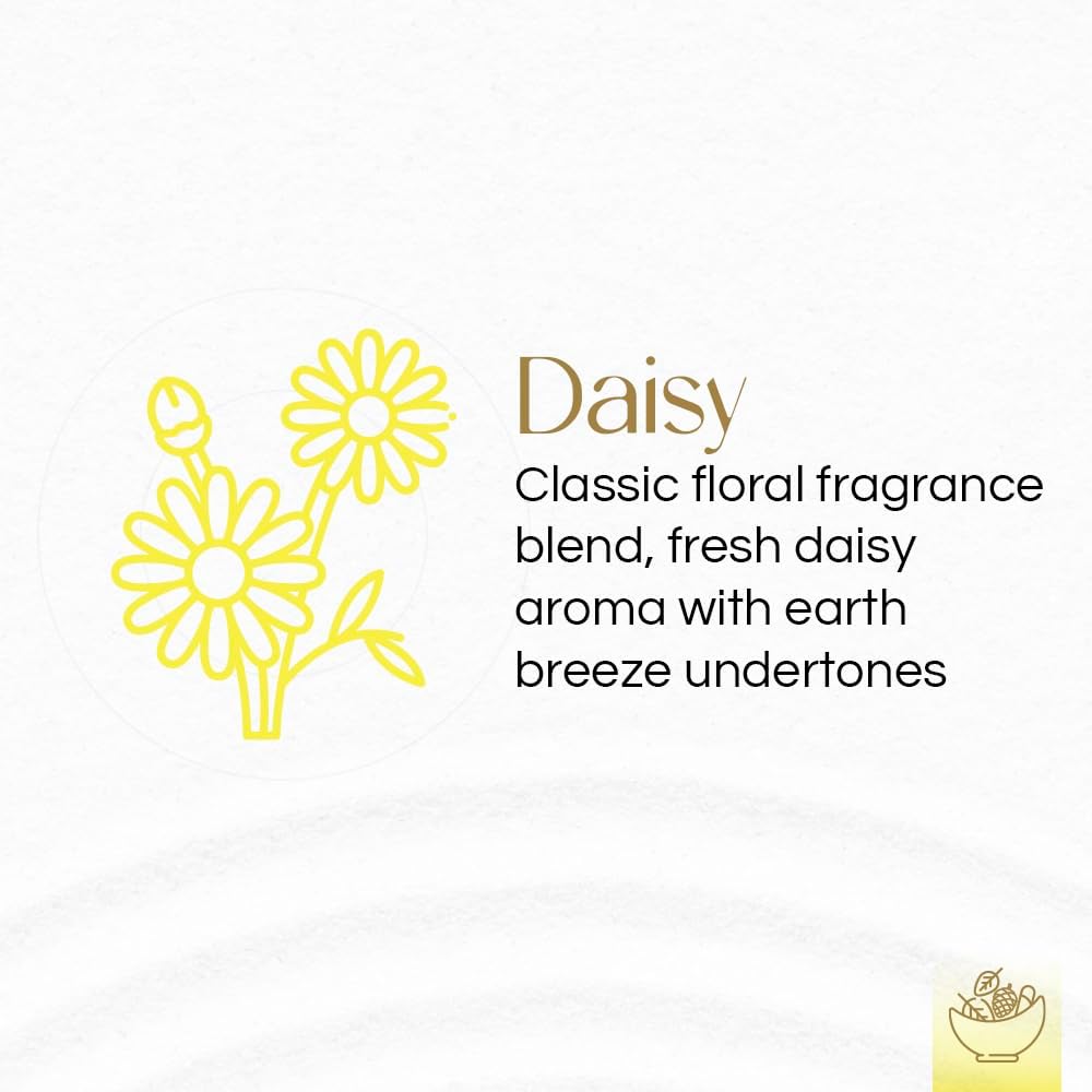 Gonesh Daisy Potpourri 12 oz Gift Box