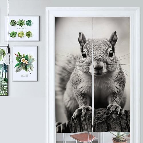 Light Gray Squirrel Door Cover Curtain 57x17 Inches