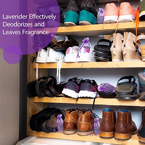 Reginary 120 Pack Lavender Sachets for Drawers Closets