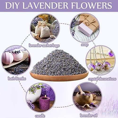 Treela 3 Pound Dried Lavender for Crafts and Home Fragrance