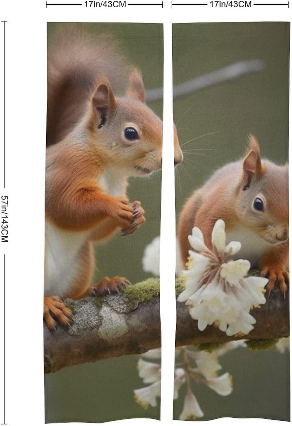 Squirrels Door Curtain Split 17x57 Inch Privacy Divider
