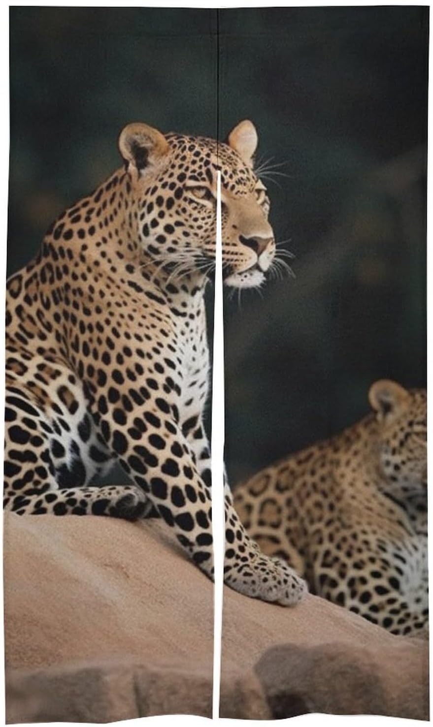 African Leopard on Rock Door Cover Curtain 57x17 Inch