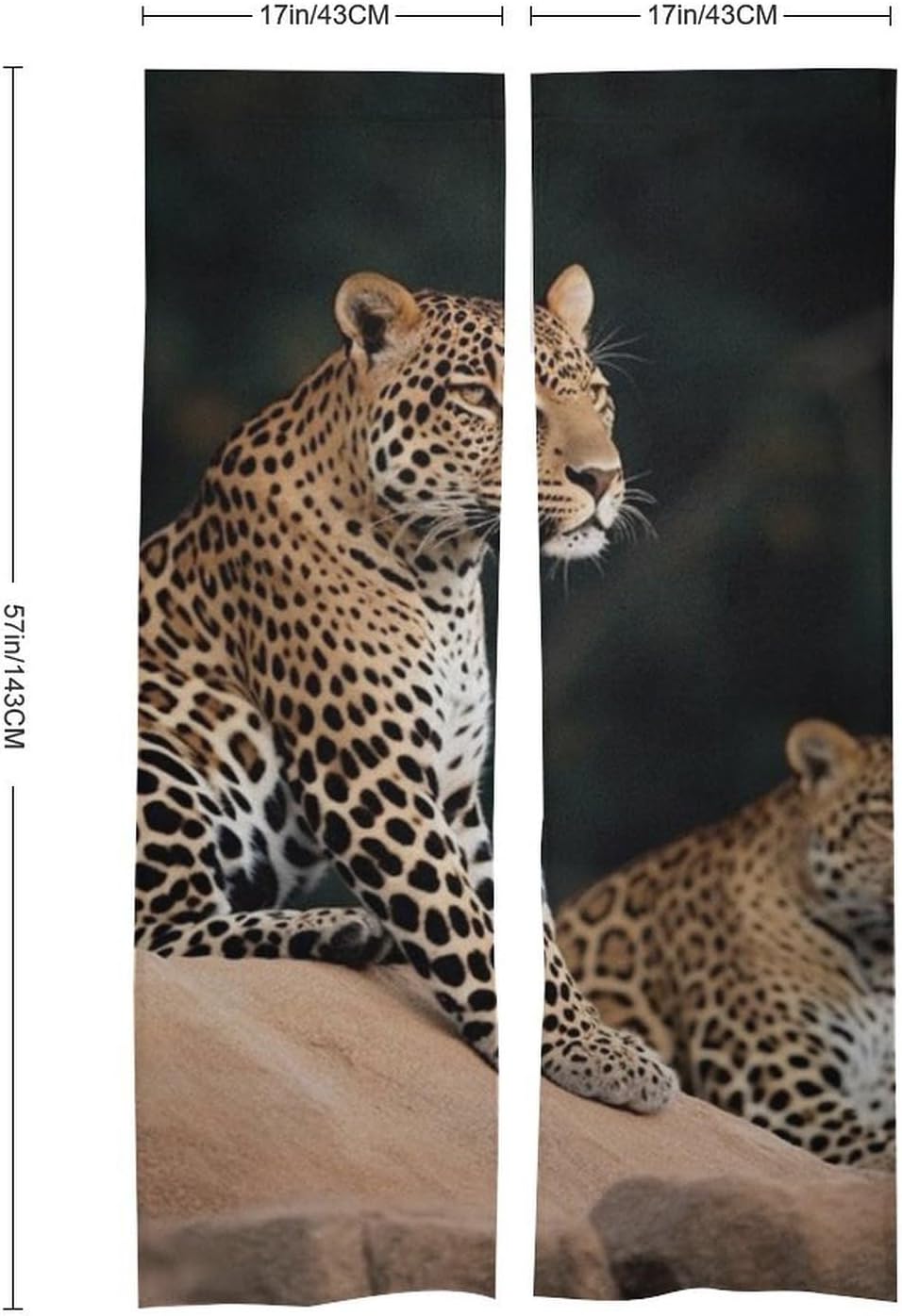 African Leopard on Rock Door Cover Curtain 57x17 Inch