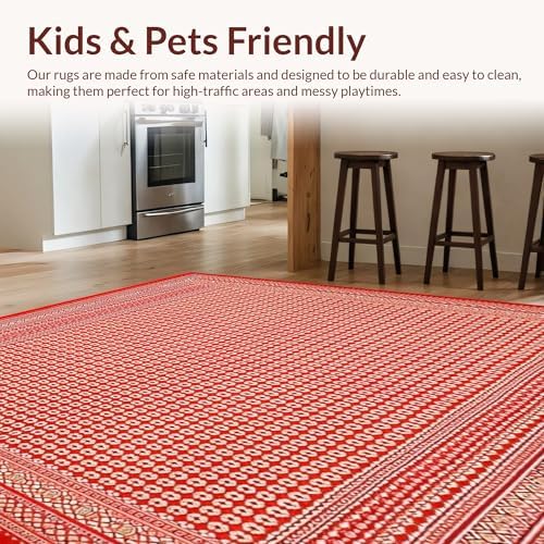 Ultra Soft 4x6 Area Rug Non Slip Stain Resistant