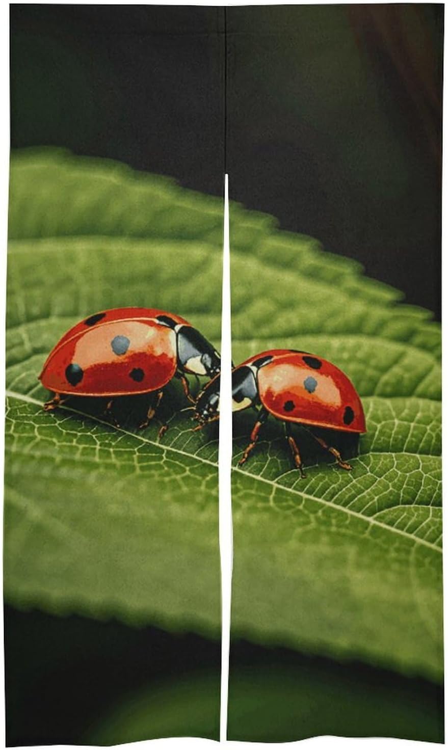 Leaves and Ladybug Door Cover Curtain 57x17 Inches