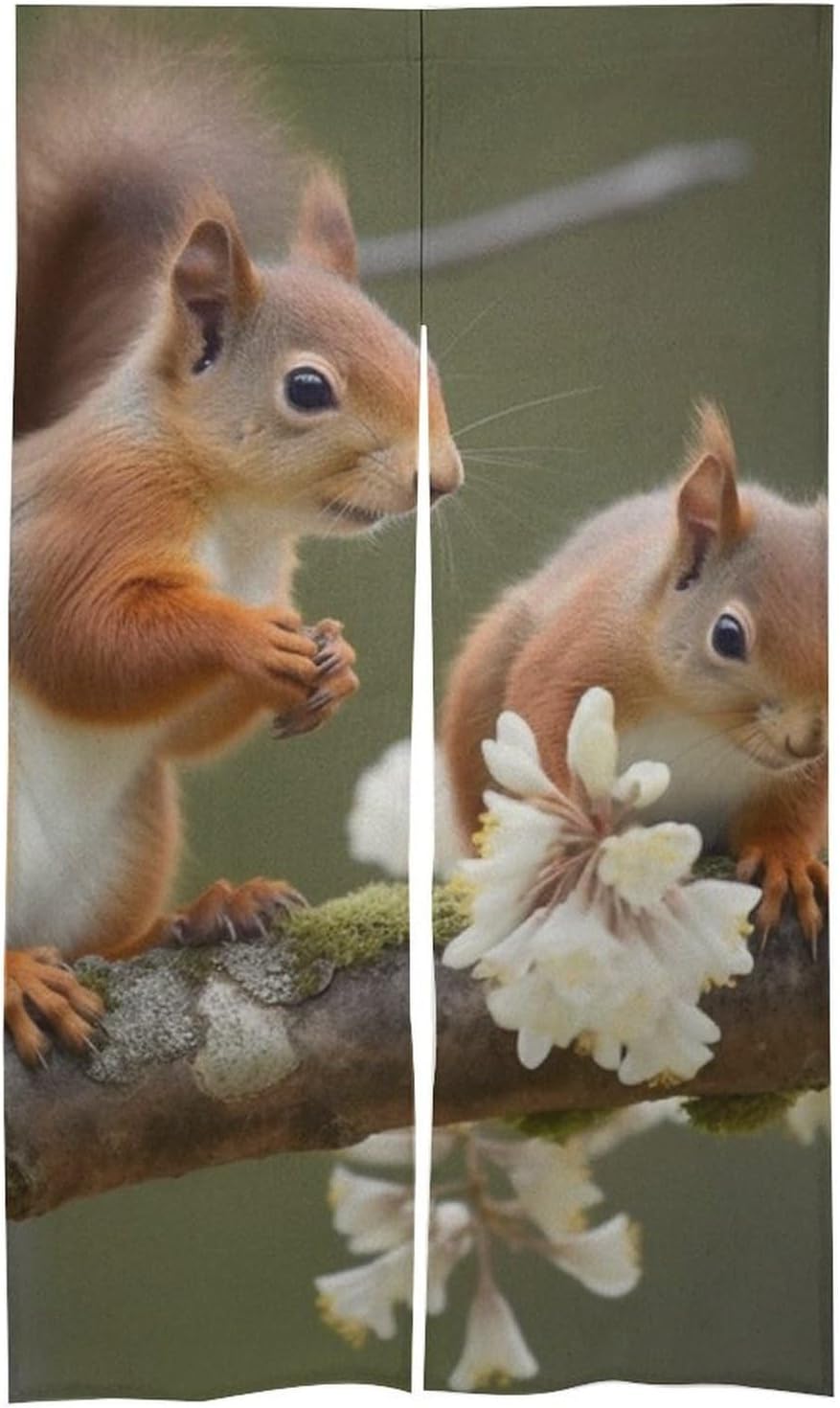 Squirrels Door Curtain Split 17x57 Inch Privacy Divider