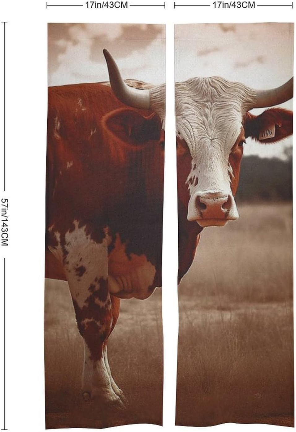 Texas Cow Door Cover Curtain 57x17 Inches