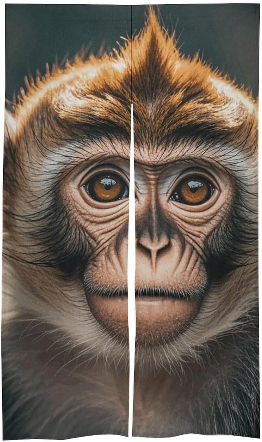 Cute Monkey Door Cover Curtain 57x17 Inches