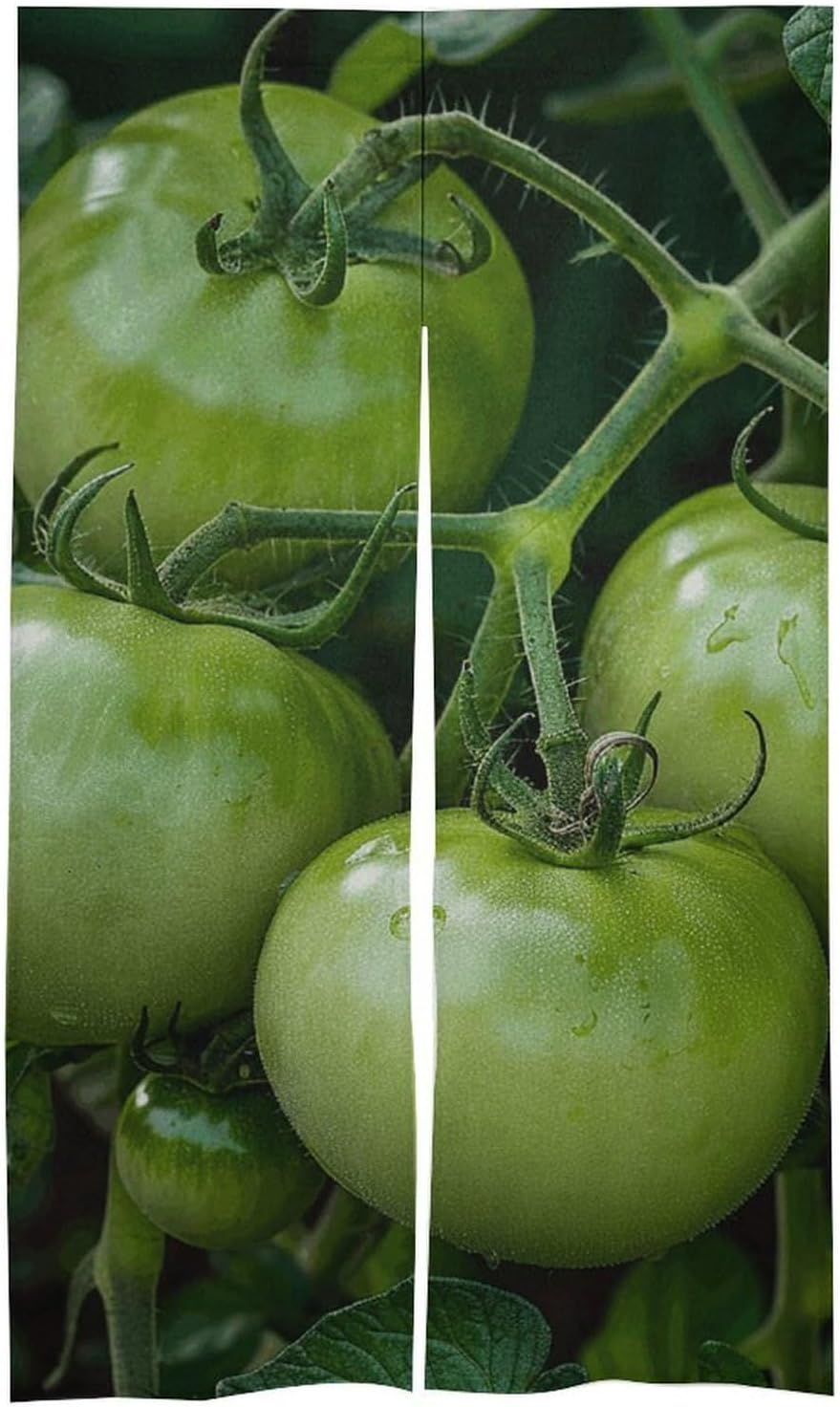 Green Tomatoes Door Cover Curtain 57x17 Inches