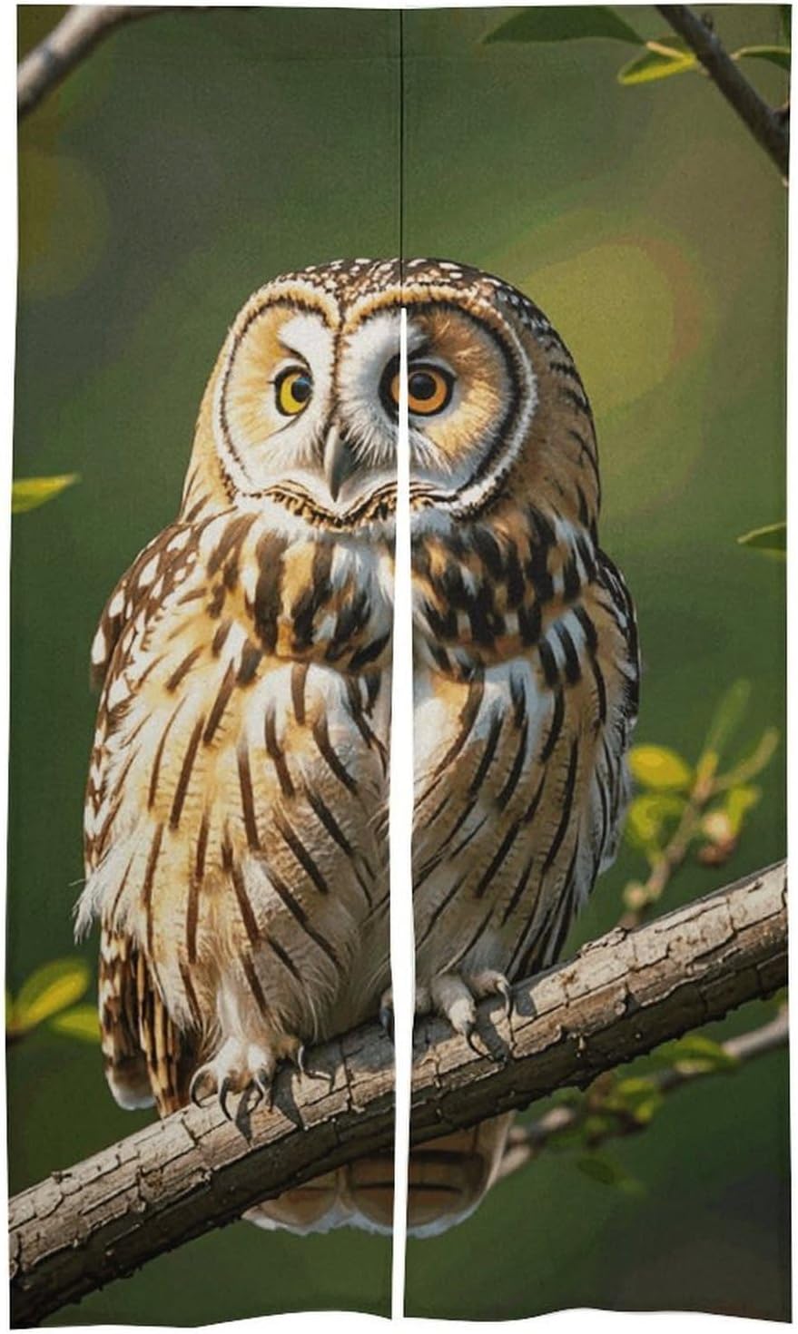 Owl Tree Branches Door Cover Curtain 57x17 Inches