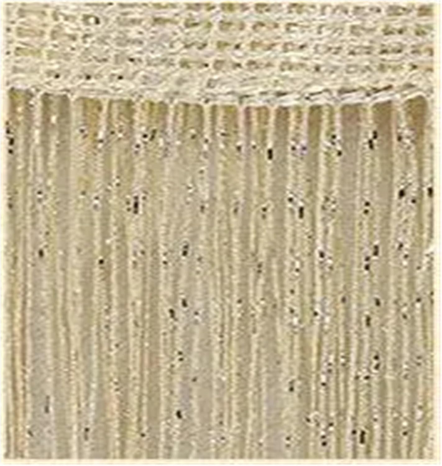 String Curtains 3x26m Shiny Tassel Decor Drape