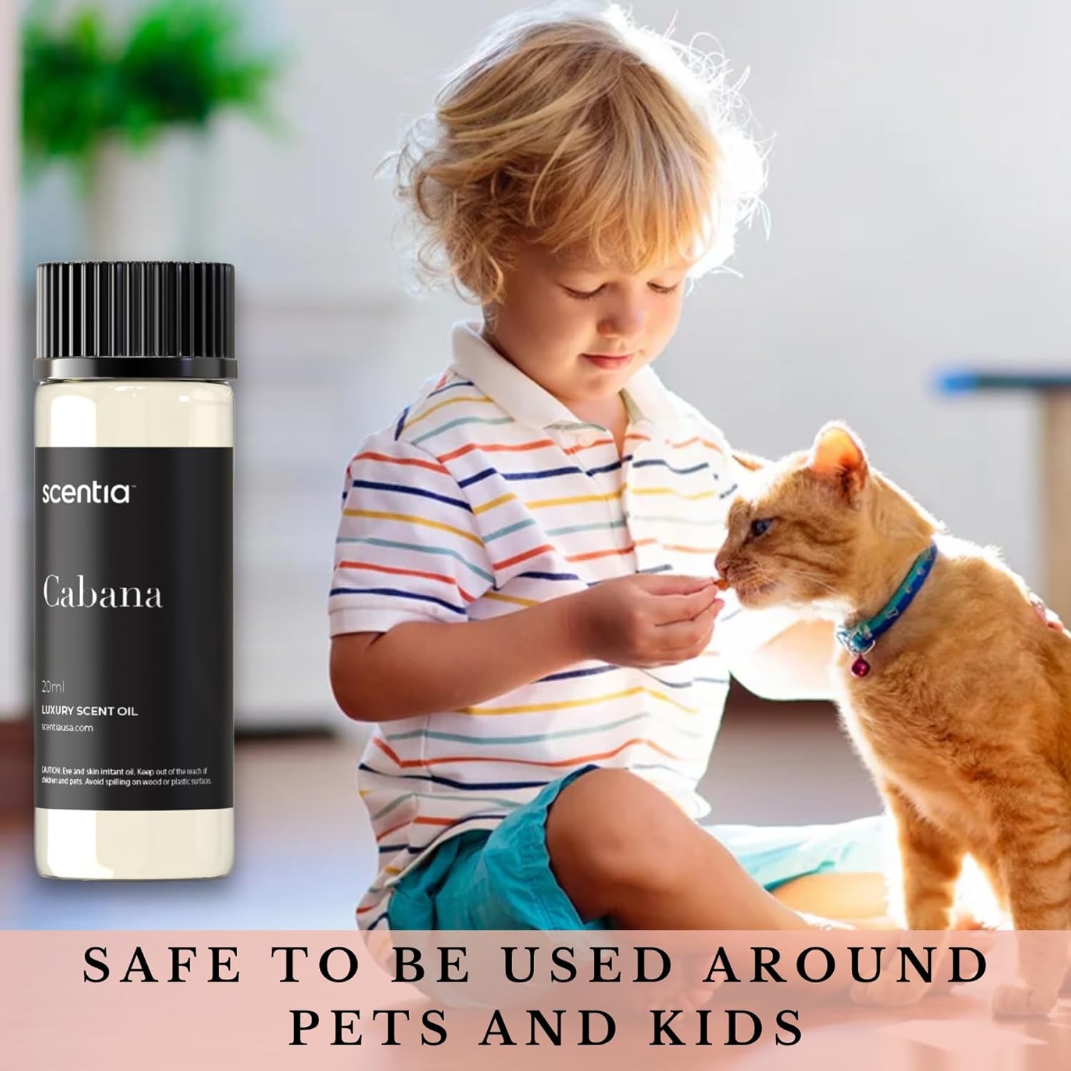 Scentia Cabana Oil - 20 mL Hotel Inspired Fragrance