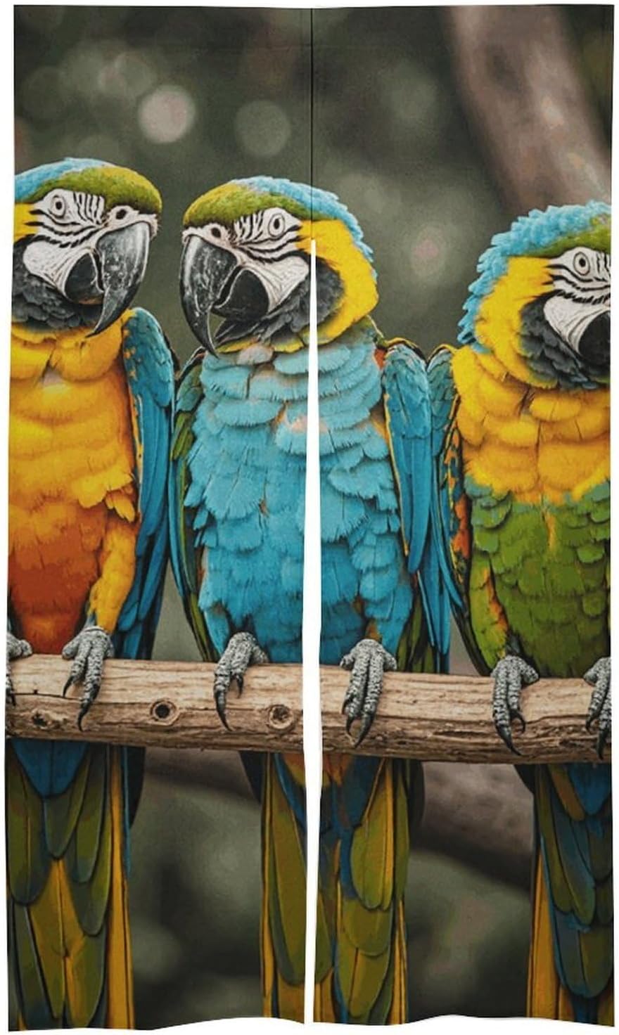 Three Parrots Door Cover Curtain 57x17 Inches