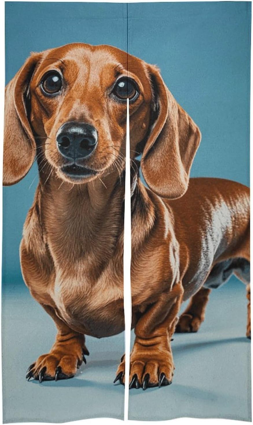 Dachshund Weiner Pet Door Cover Curtain 57x17 Inches