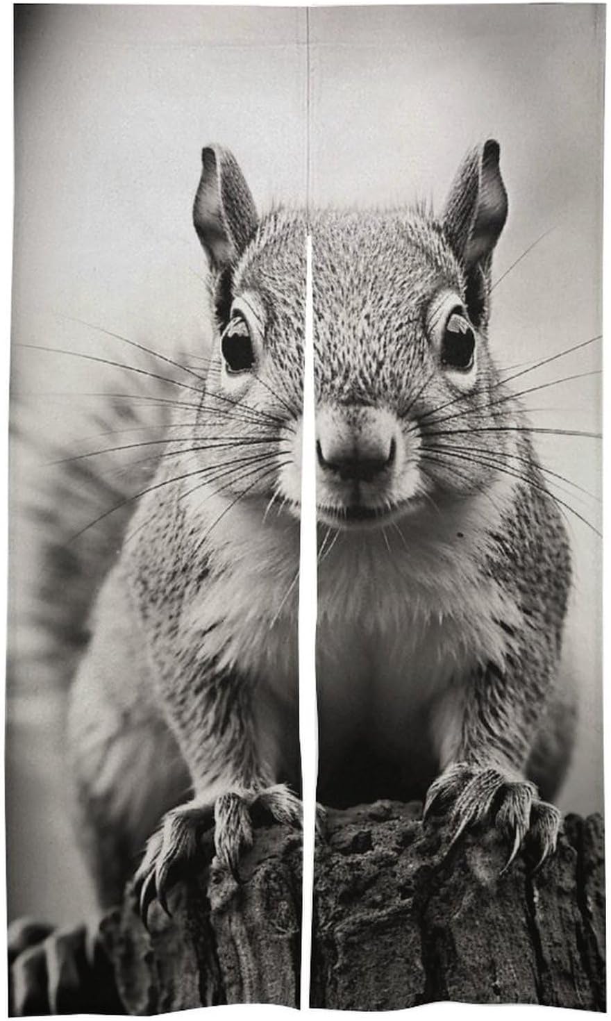 Light Gray Squirrel Door Cover Curtain 57x17 Inches