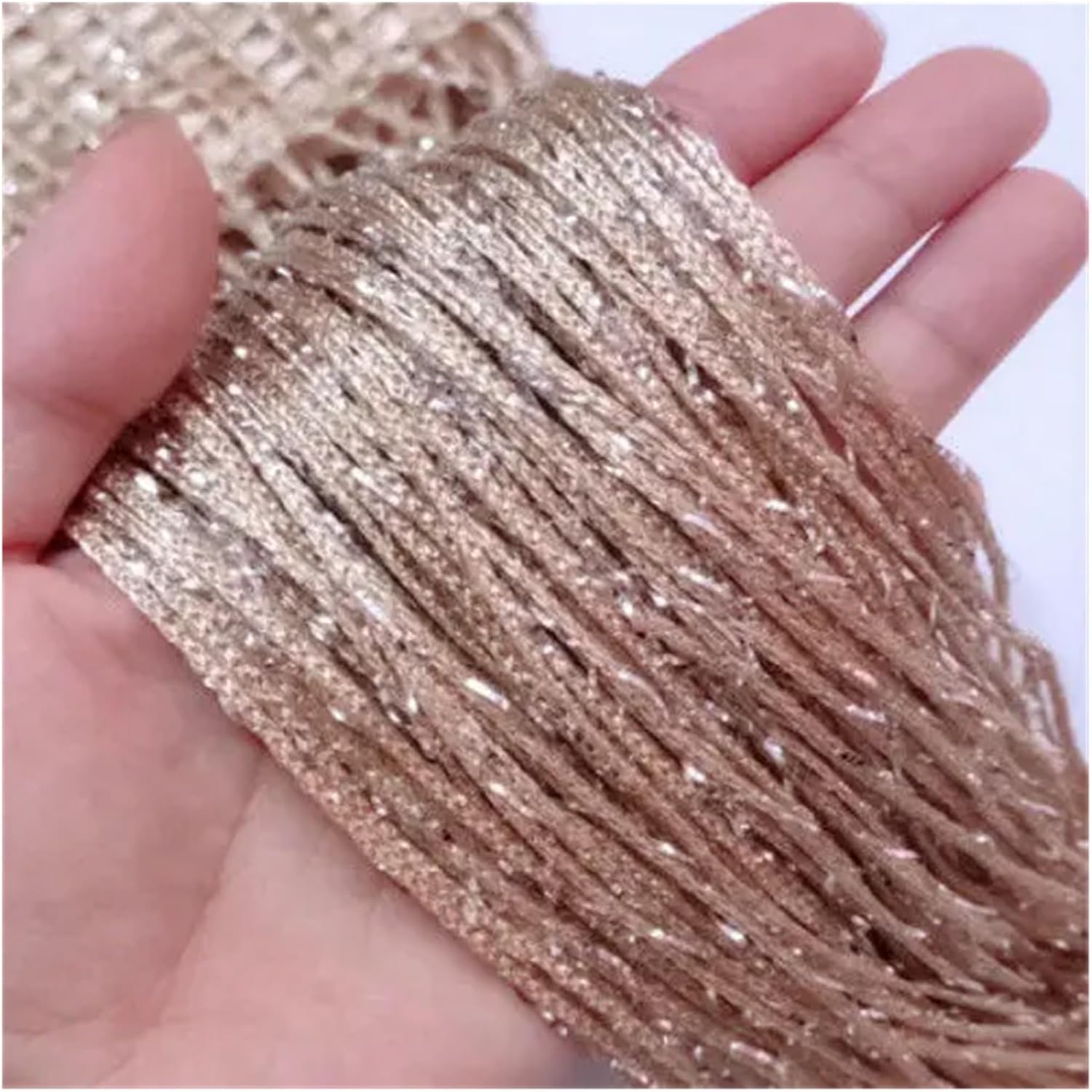 100x200 Thread Curtain Shiny Tassel Drapes