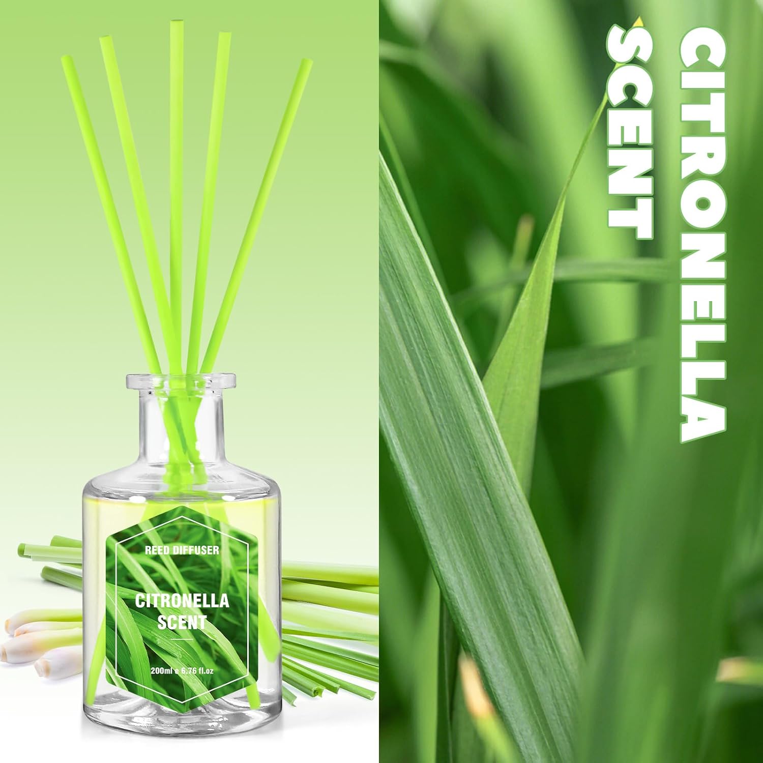 SCENTORINI Citronella Reed Diffuser Set 67 Fl Oz