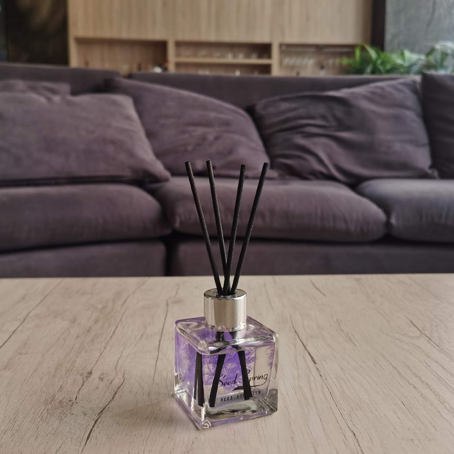 Seed Spring Reed Diffuser Set with Lavender Aromatherapy Oil