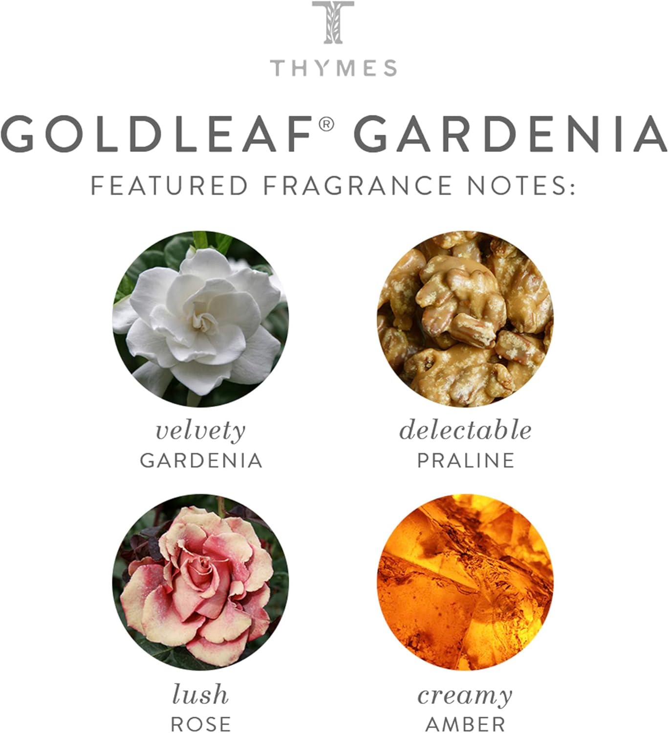 Thymes Fragrance Mist 3 Oz Goldleaf Gardenia