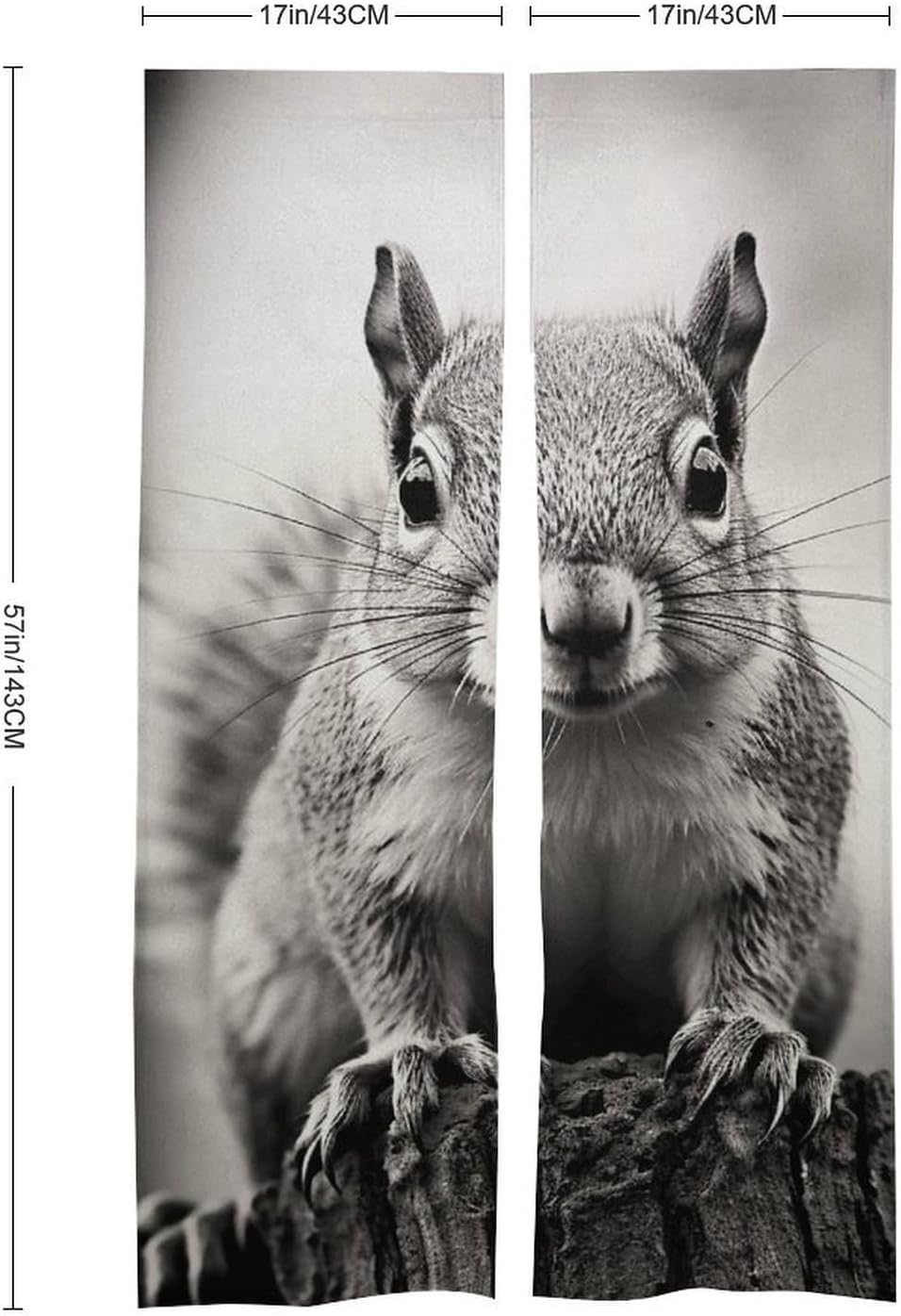 Light Gray Squirrel Door Cover Curtain 57x17 Inches