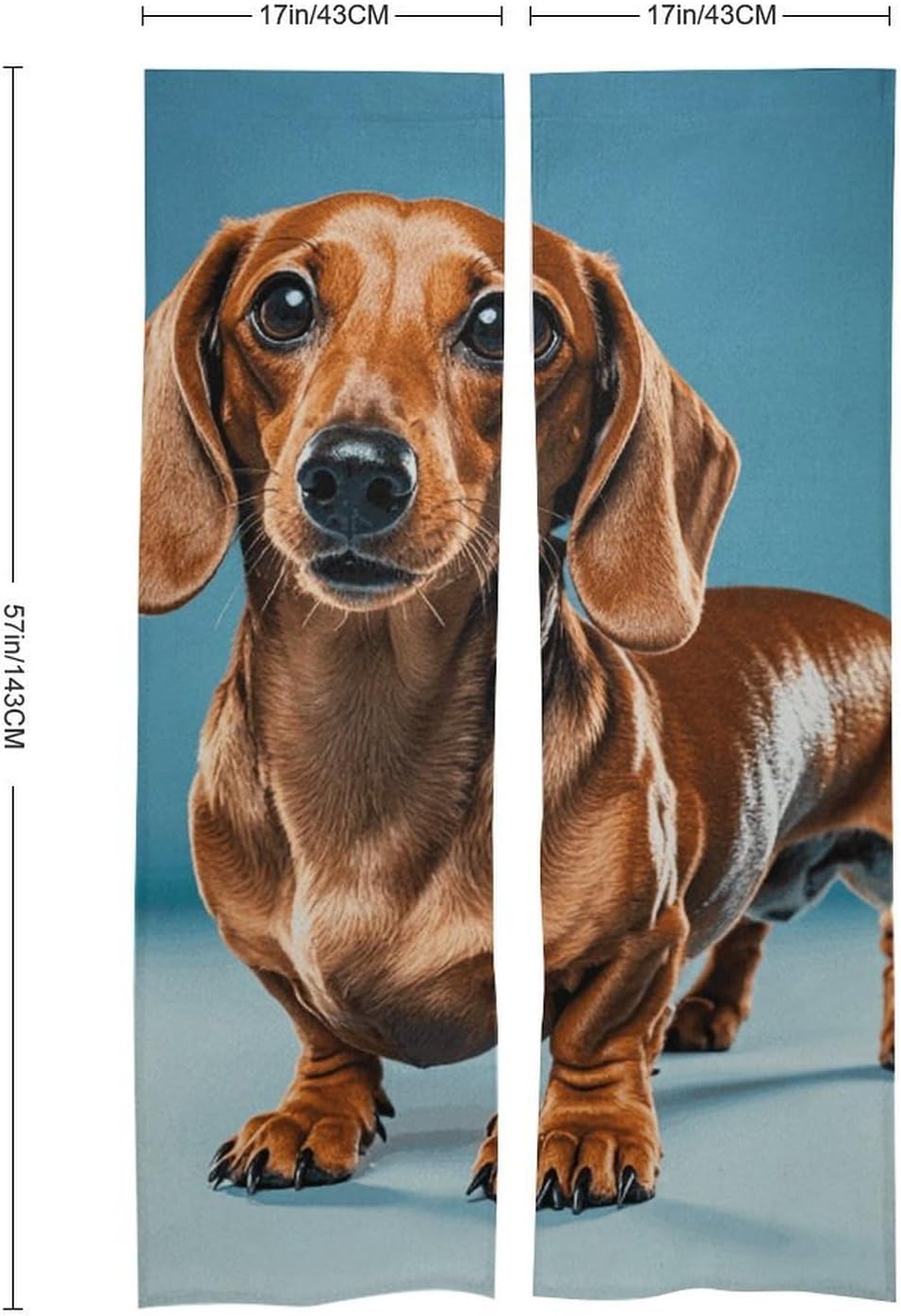 Dachshund Weiner Pet Door Cover Curtain 57x17 Inches