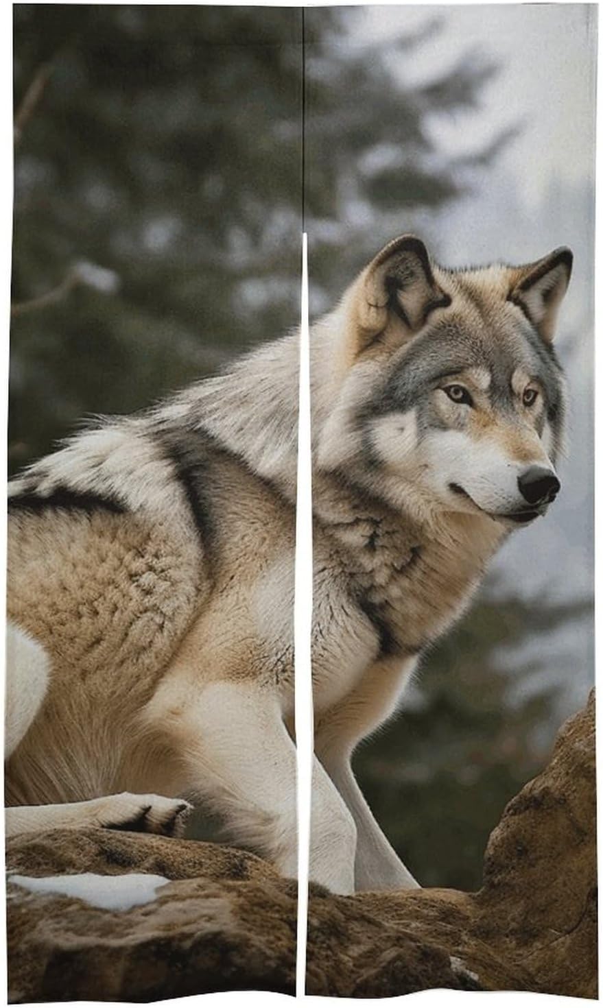 Snow Mountain Wild Wolf Door Cover Curtain 57x17 Inches